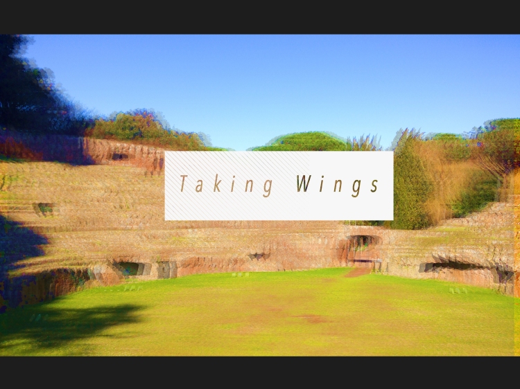 Taking Wings cover